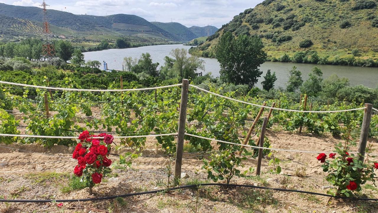 Гостевой дом Olhares Do Douro Торри-ди-Монкорву Экстерьер фото