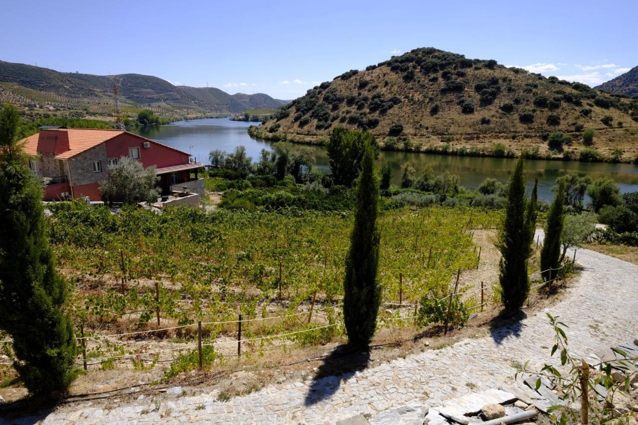 Гостевой дом Olhares Do Douro Торри-ди-Монкорву Экстерьер фото