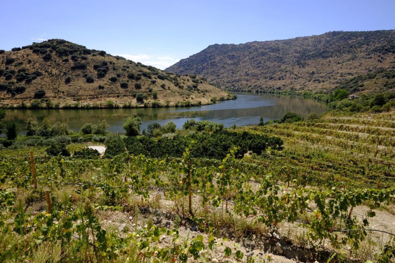 Гостевой дом Olhares Do Douro Торри-ди-Монкорву Экстерьер фото