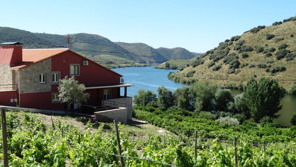 Гостевой дом Olhares Do Douro Торри-ди-Монкорву Экстерьер фото